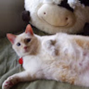 Meet your Posher, Theresa